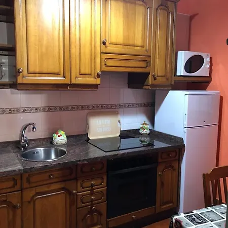 El Navariegu 2 Apartment *